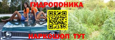 спайс Кулебаки