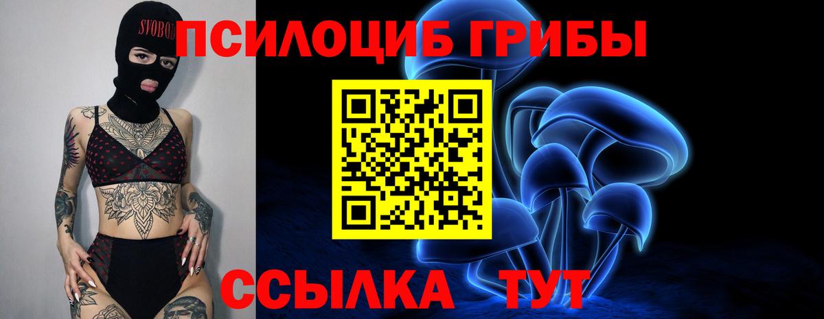 где можно купить наркотик  Галлюциногенные грибы мицелий  Галлюциногенные грибы MAGIC MUSHROOMS  Вход с VPN  Шали 